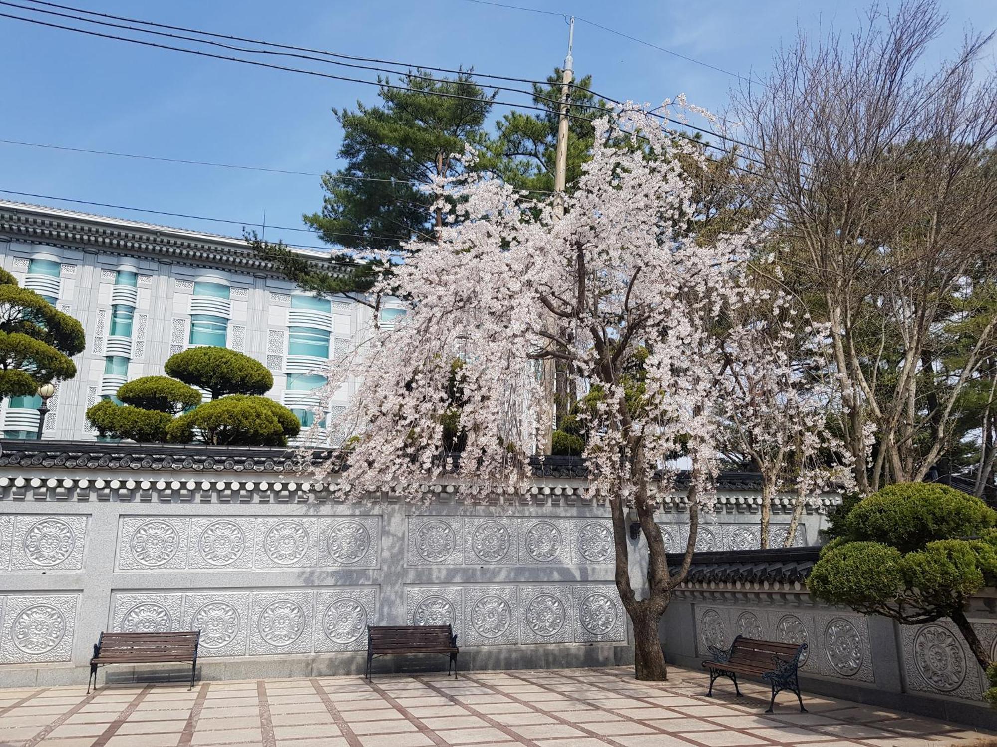 Hotel Gaya Seongju Екстер'єр фото